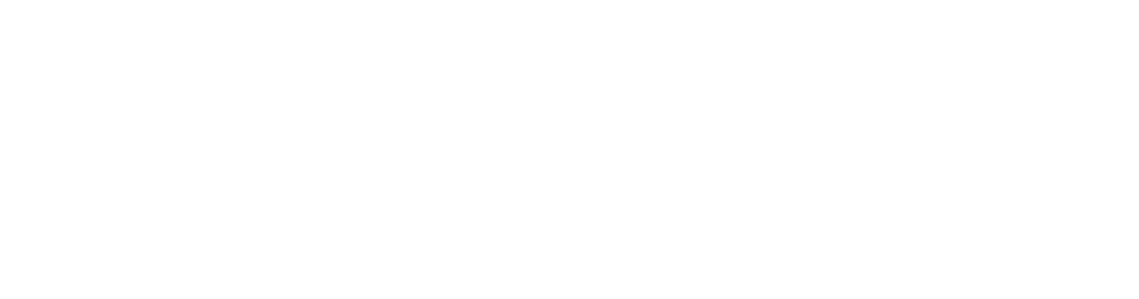 logo-2
